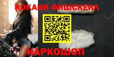 гидра Будённовск
