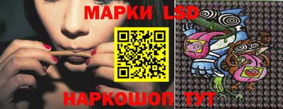 гидра Будённовск