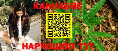 гидра Будённовск
